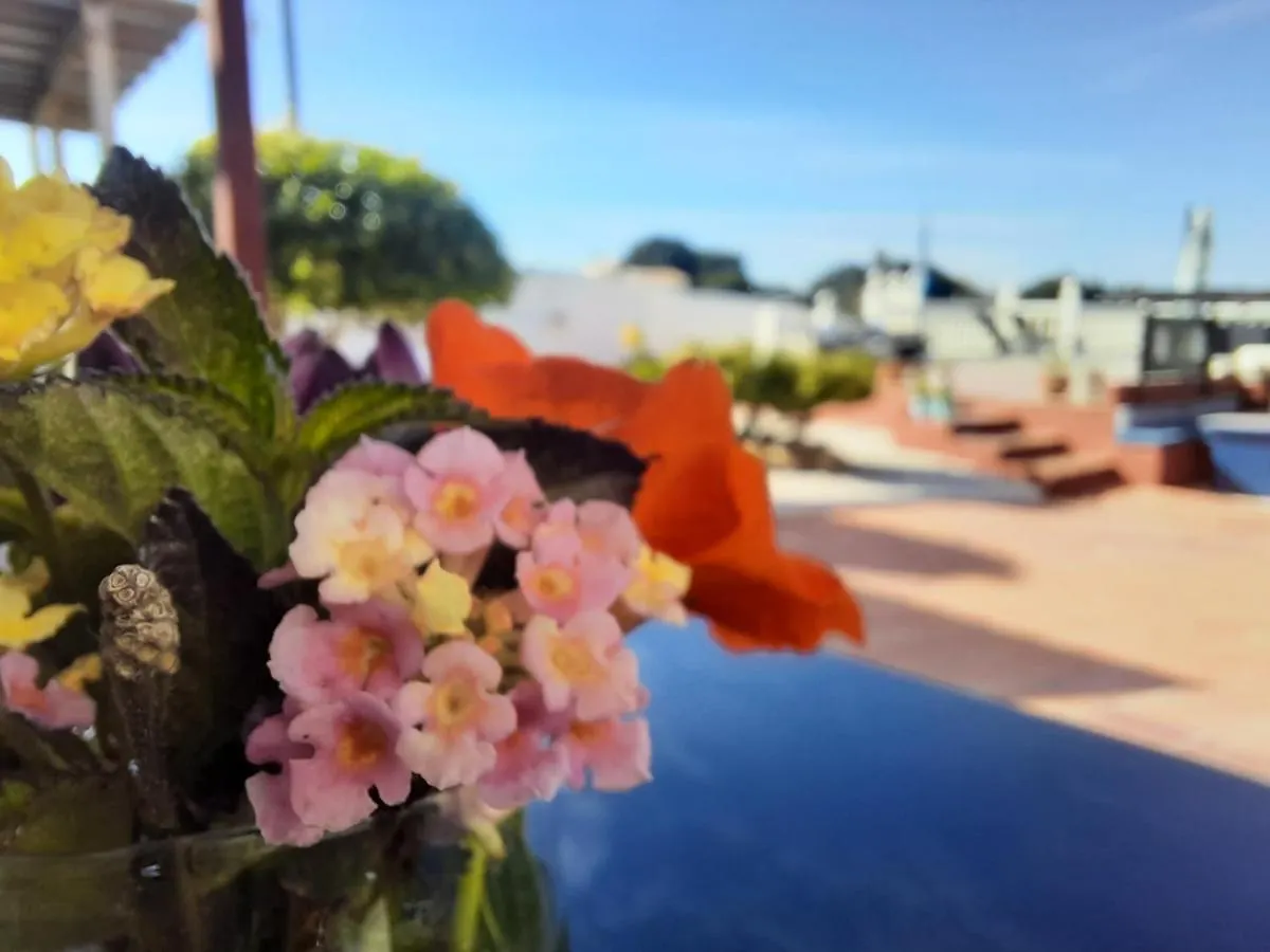 Bed & Breakfast Finca Sueno De Vida Alhaurin de la Torre