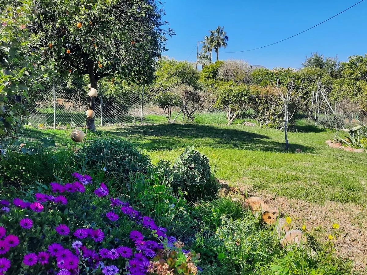Bed & Breakfast Finca Sueno De Vida Alhaurin de la Torre