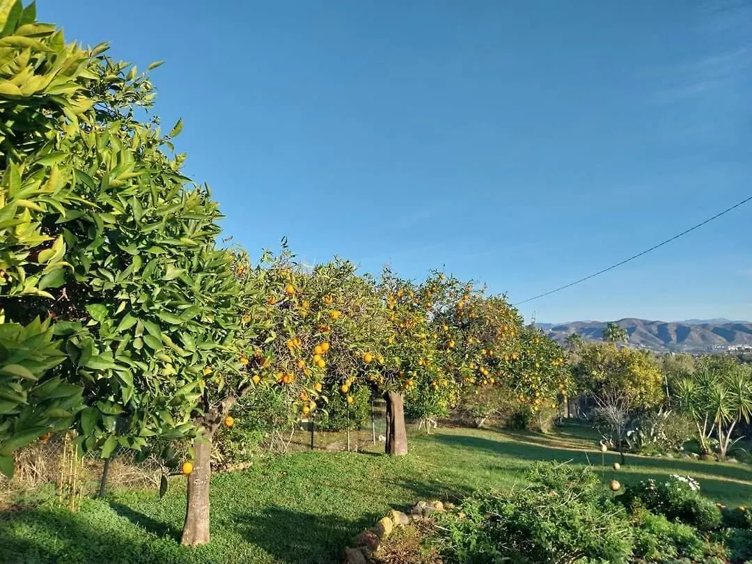 Finca Sueno De Vida Alhaurín de la Torre